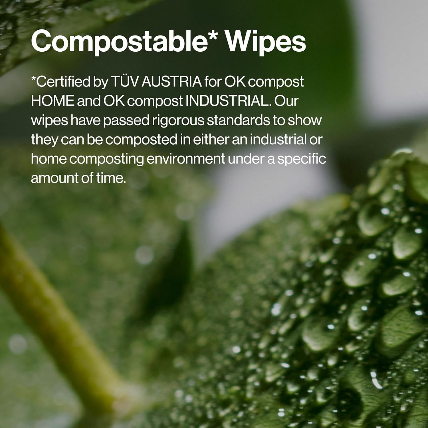 Fragrance Free Cleansing Makeup Remover Facial Wipes | Plant Based, Hypoallergenic, Gentle for Sensitive Skin | 90 Count