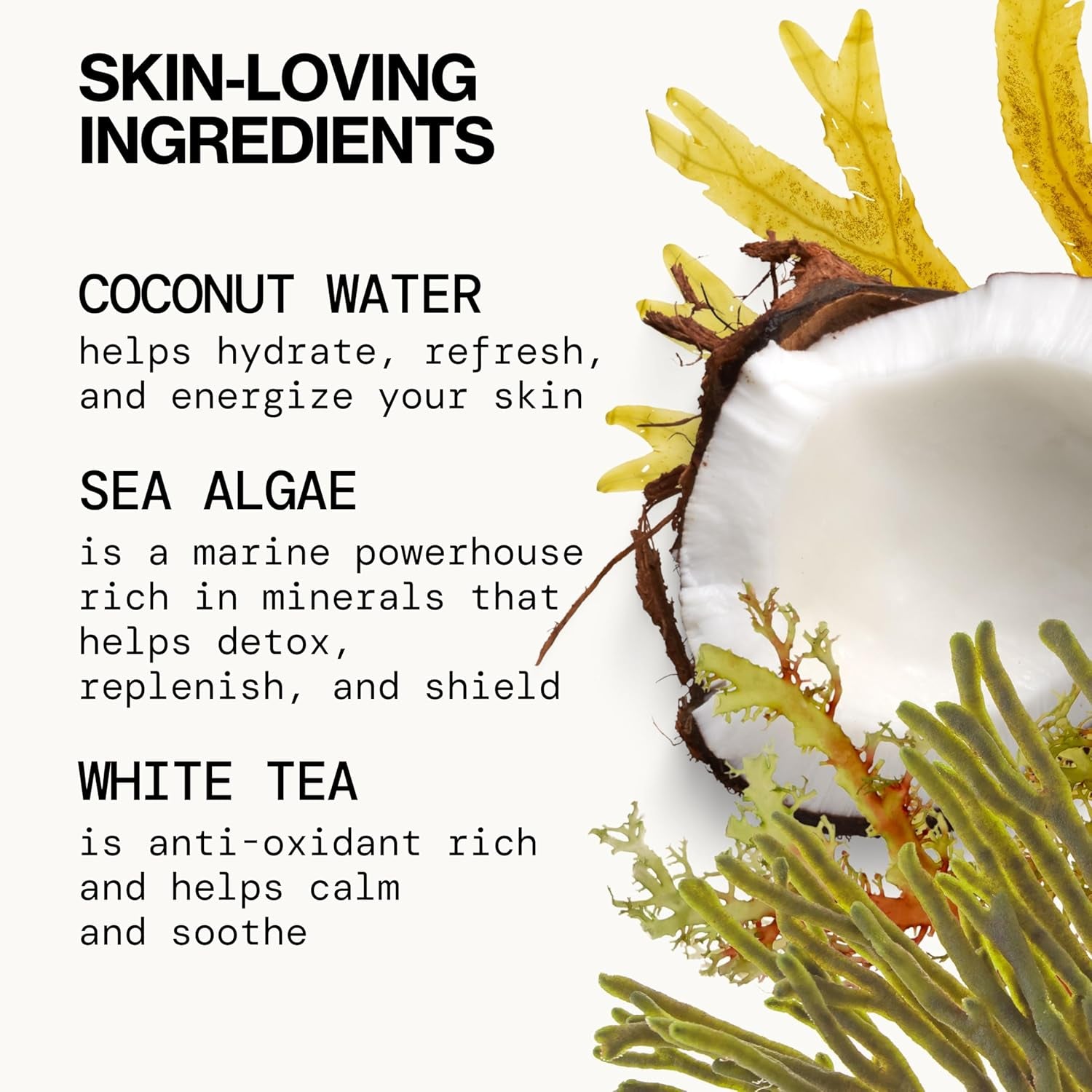 Beauty Sea Foam Face Wash, Daily Gentle Foaming Cleanser, with Coconut Water + Sea Algae, Removes Makeup, for Combination and Oily Skin, Vegan & Cruelty Free